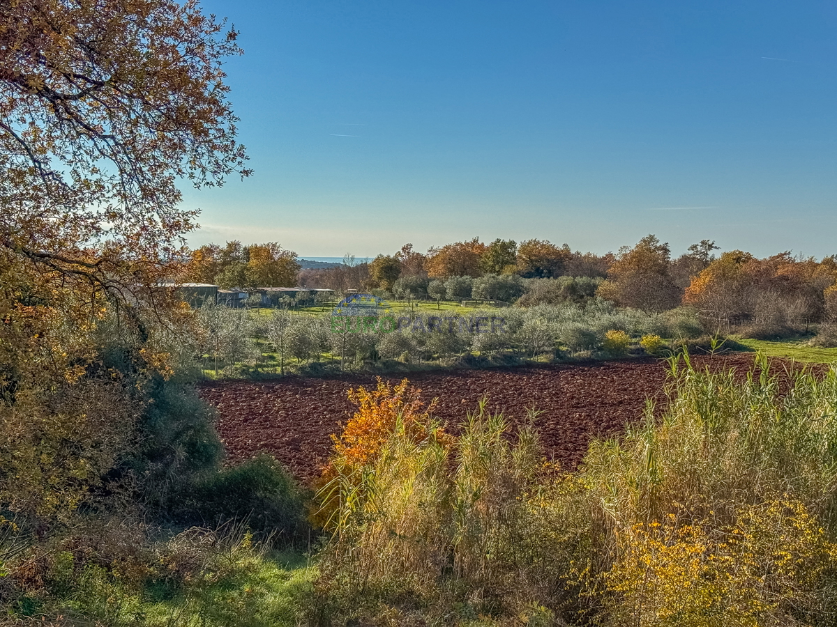 Ampio appartamento con vista mare, Poreč 4,5 km