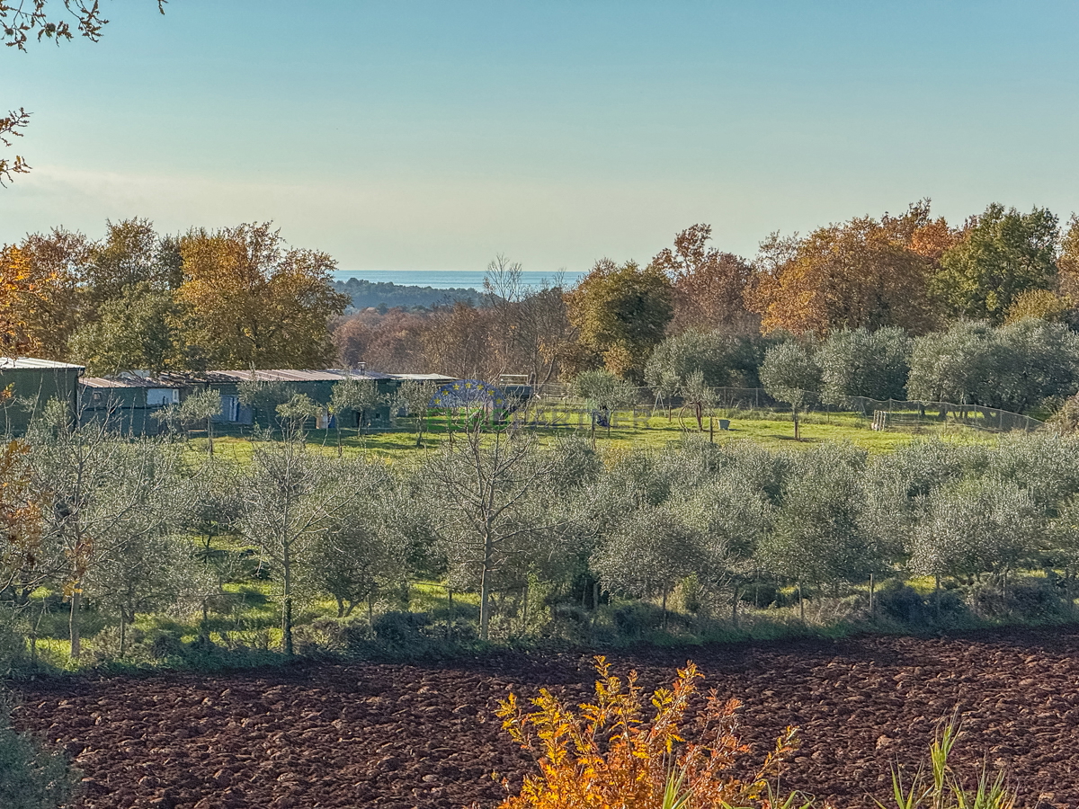 Ampio appartamento con vista mare, Poreč 4,5 km