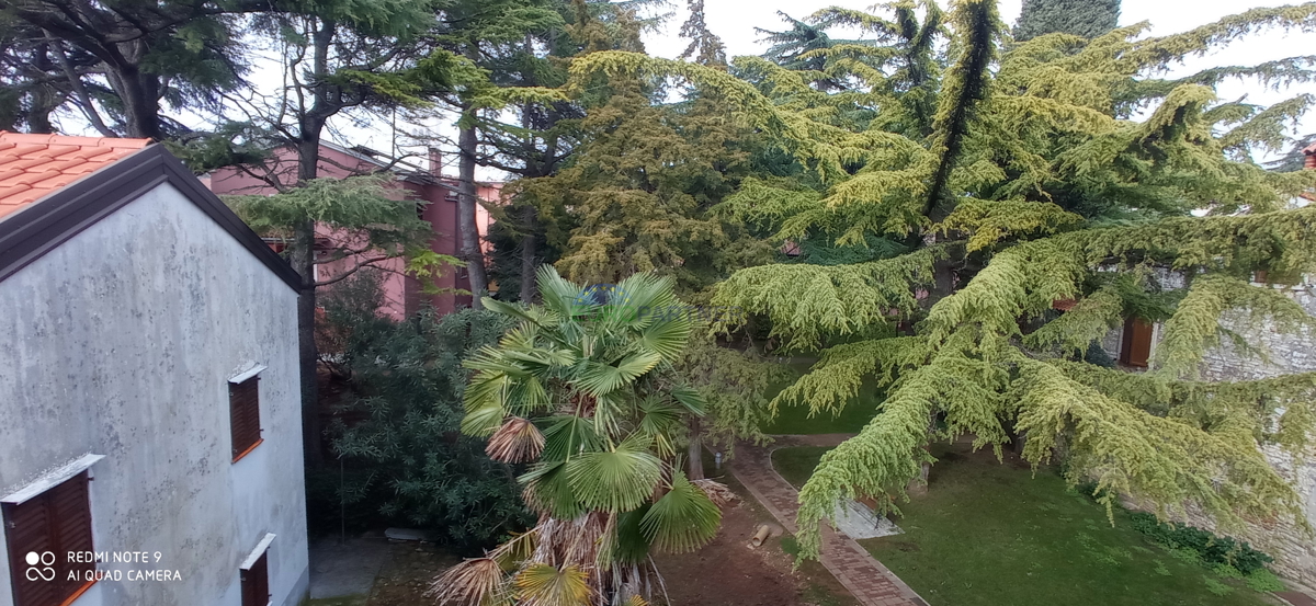 Istria, Novigrad, appartamento nel centro città