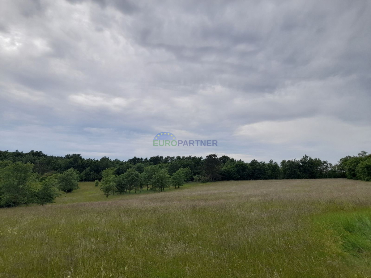 Istria, Parenzo, Baderna, terreno agricolo