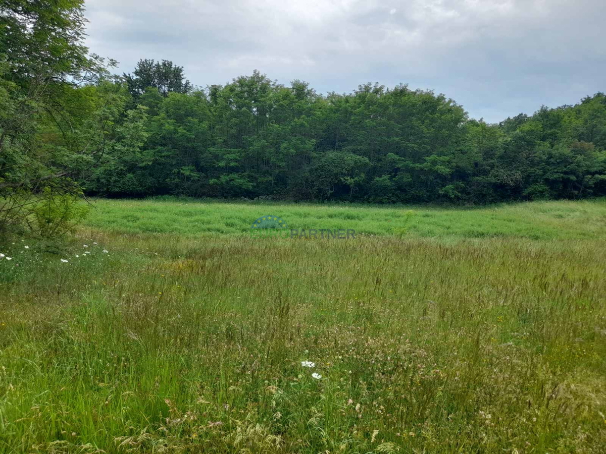 Istria, Parenzo, Baderna, terreno agricolo