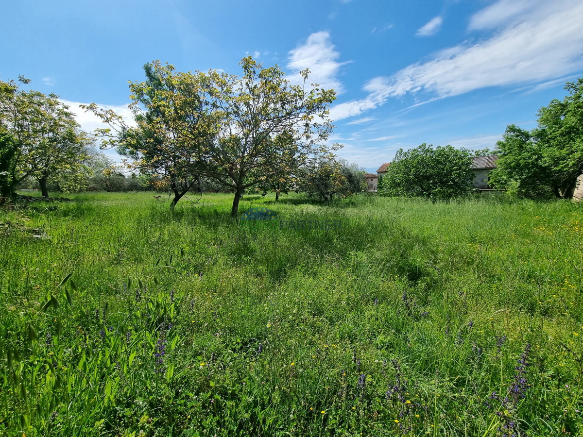 Terreno 850m2 Kaštelir Labinci