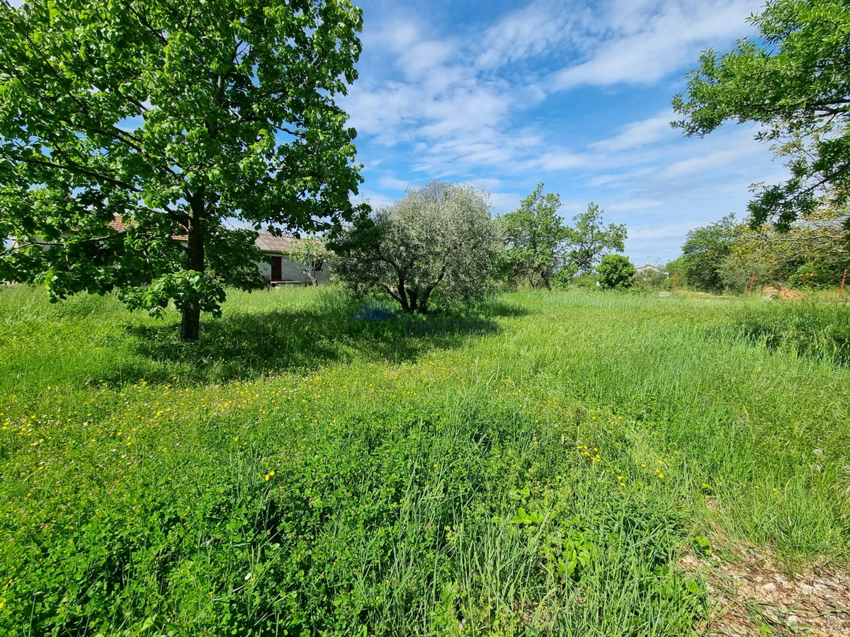 Terreno 850m2 Kaštelir Labinci