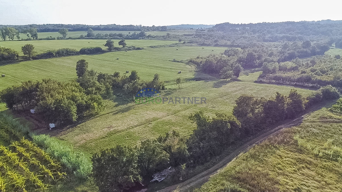 Vigneto piantato e terreno agricolo a Buje