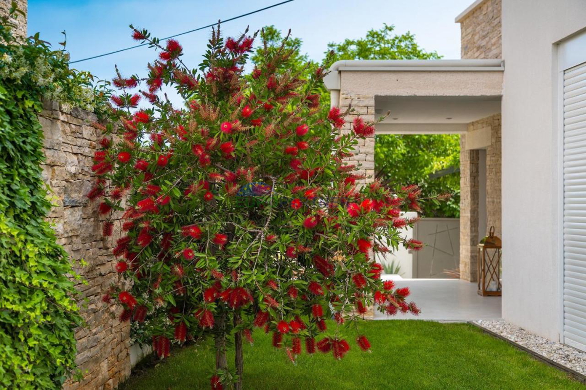 Una bellissima villa nelle vicinanze di Rovigno