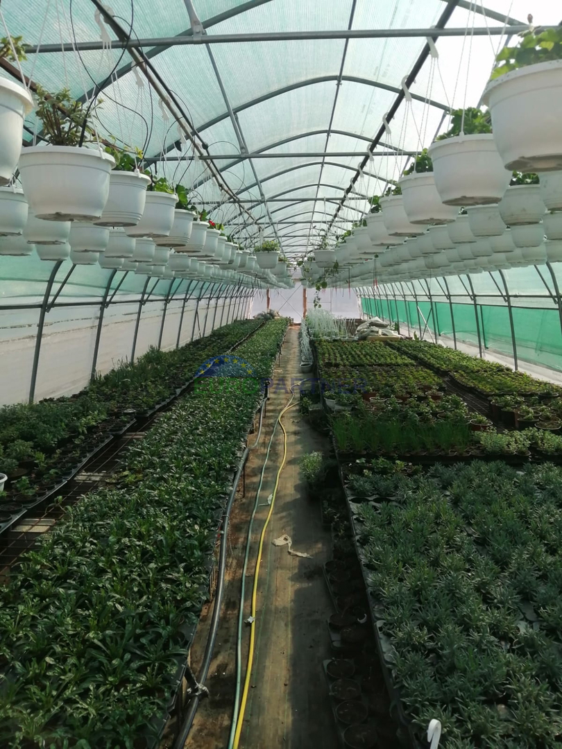 Istria, Parenzo, terreno agricolo recintato