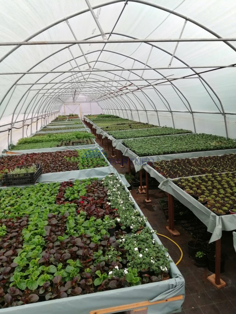 Istria, Parenzo, terreno agricolo recintato