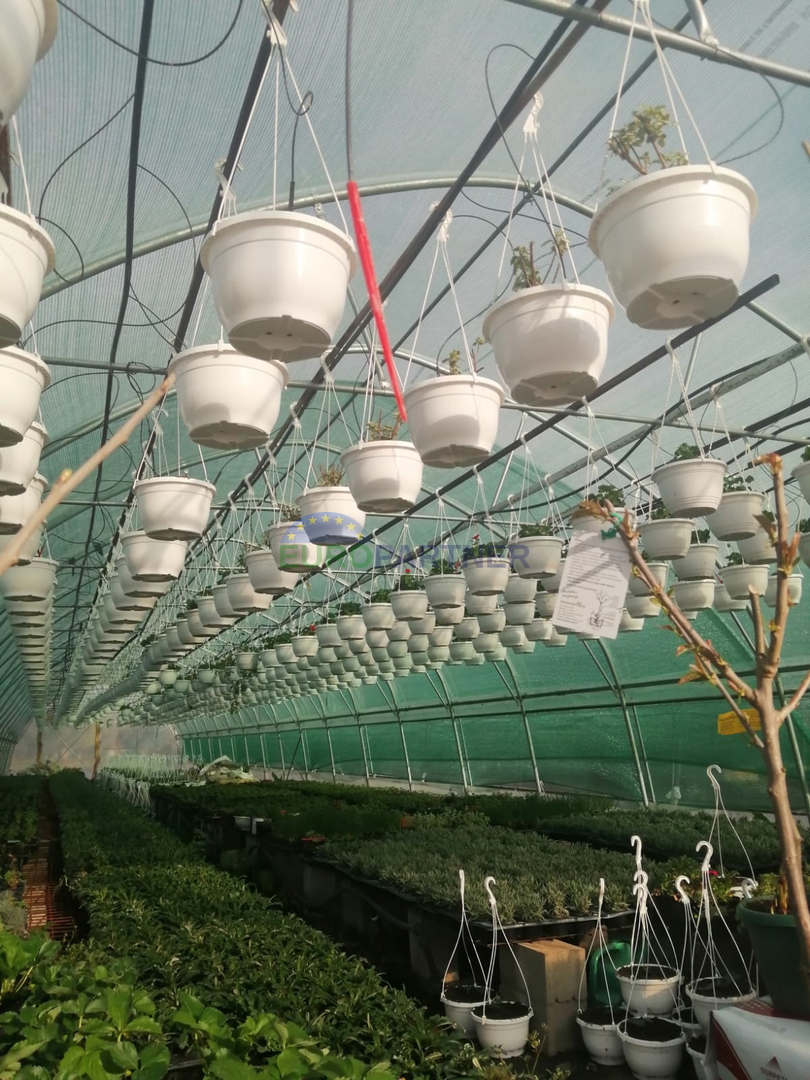 Istria, Parenzo, terreno agricolo recintato