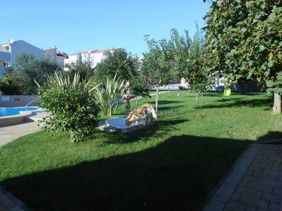 Villa con piscina e vista sul mare, Borik-Zara