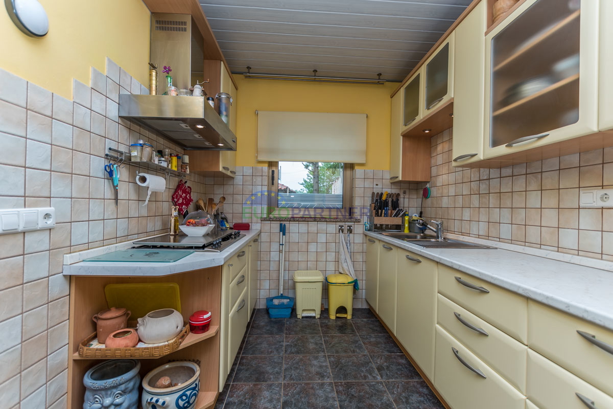 Casa indipendente con giardino di 6600 m2, Sveti Lovreč, Istria