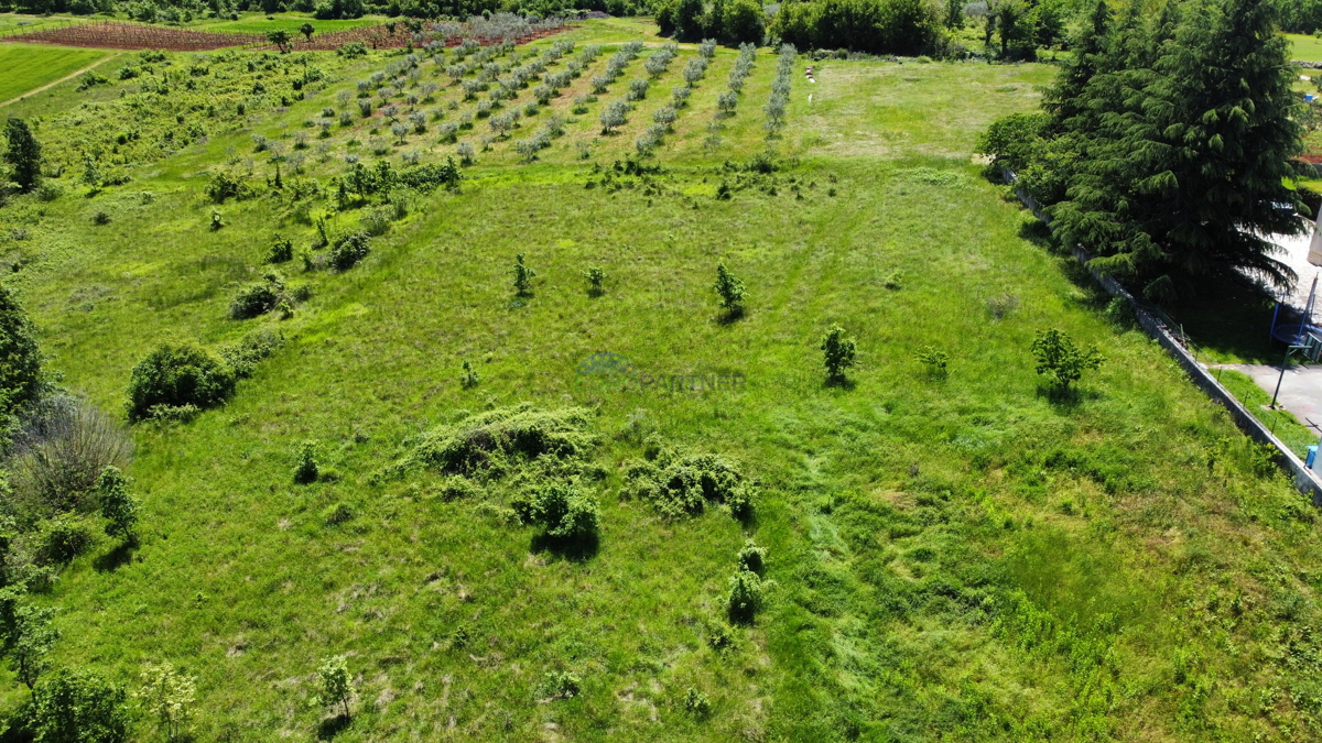 Vendita - terreno edificabile vicino a Visignano