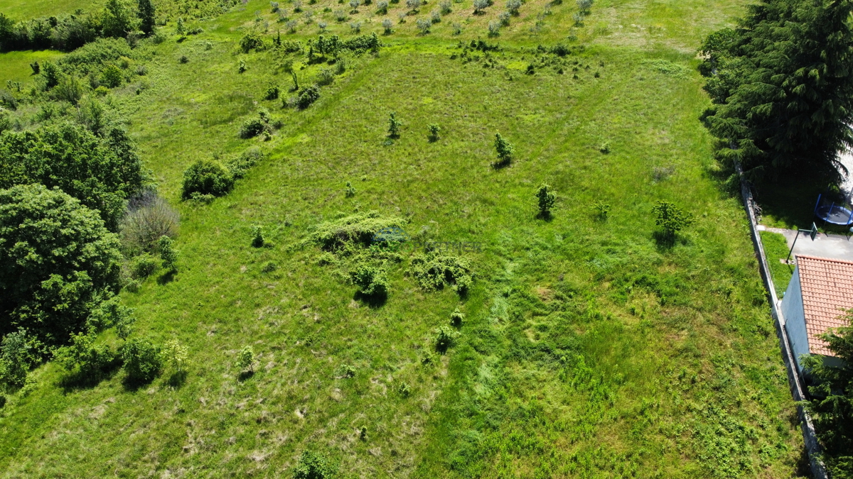 Vendita - terreno edificabile vicino a Visignano