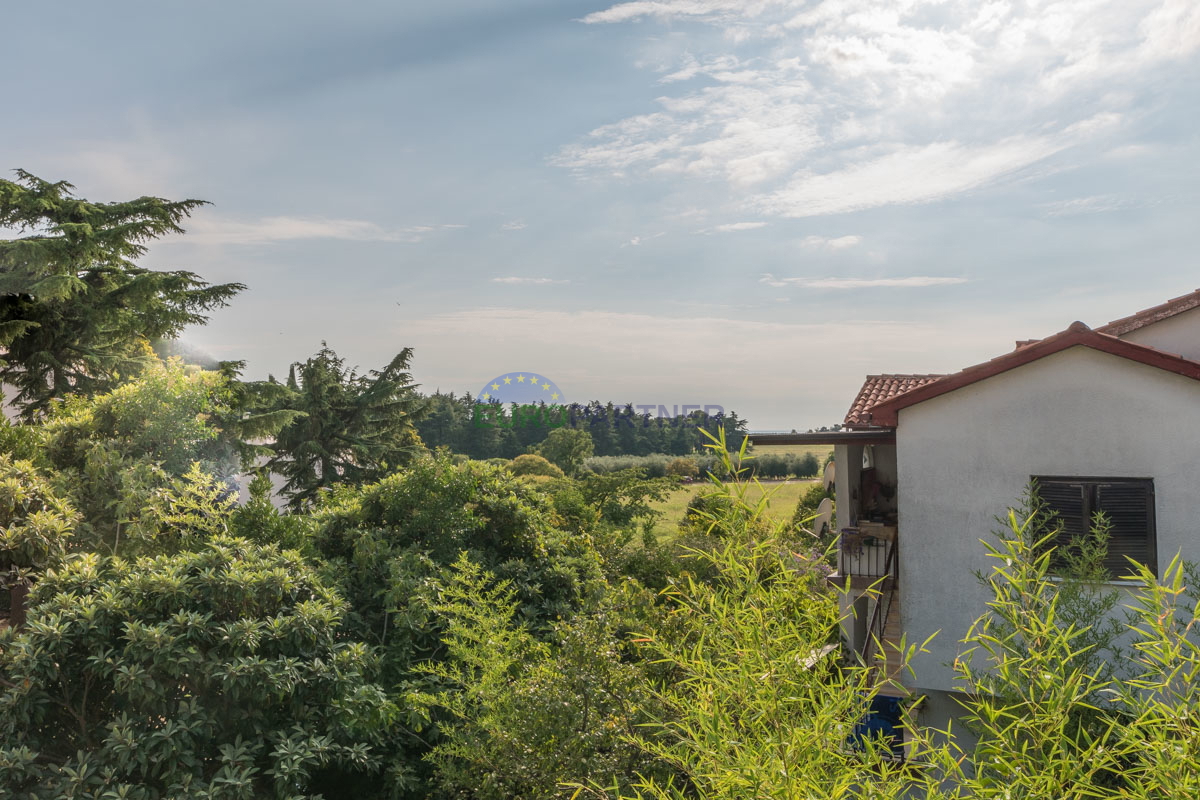 Appartamento in una splendida posizione a Cittanova