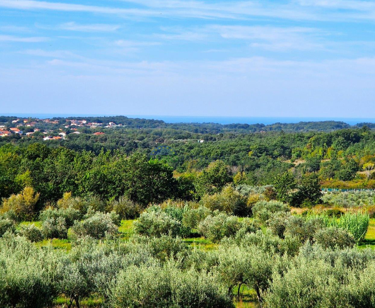 Villa con vista panoramica sul mare e sulla campagna, Umago