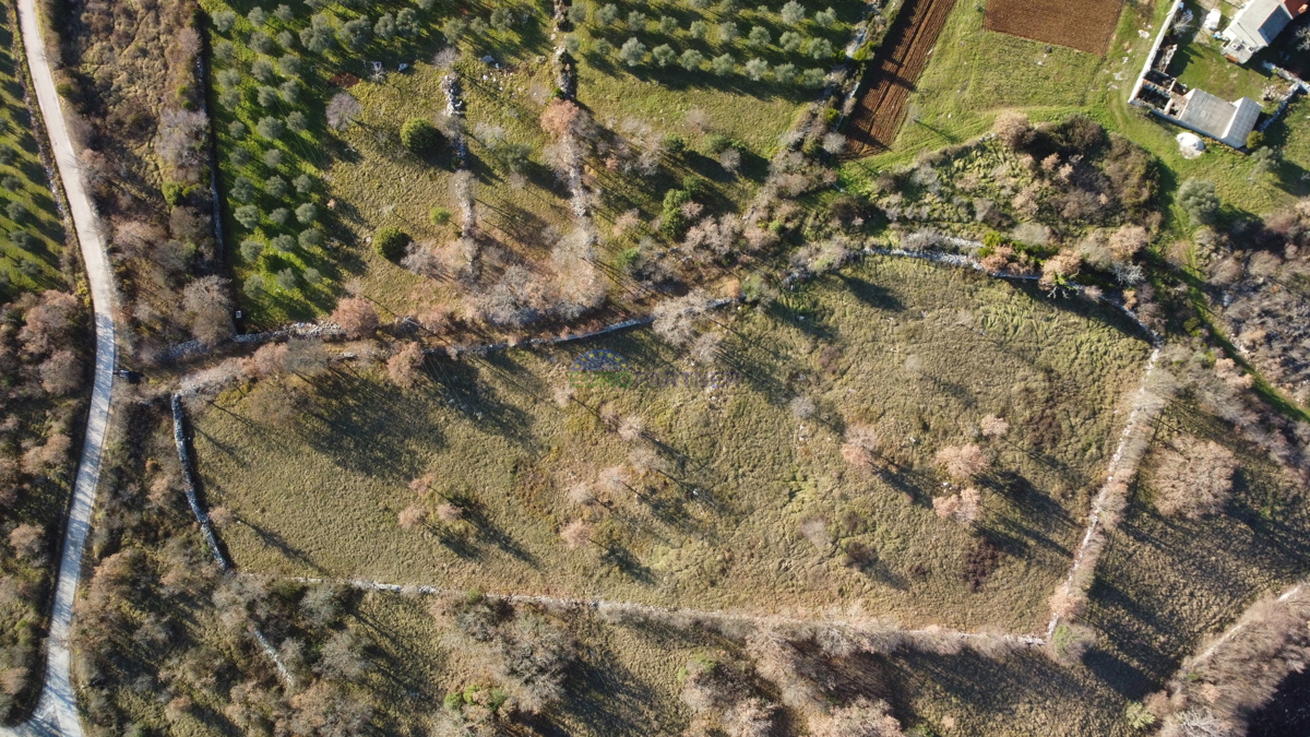 Bellissima proprietà, 5892m2 di terreno edificabile + 3562m2 di terreno agricolo, zona di Poreč.