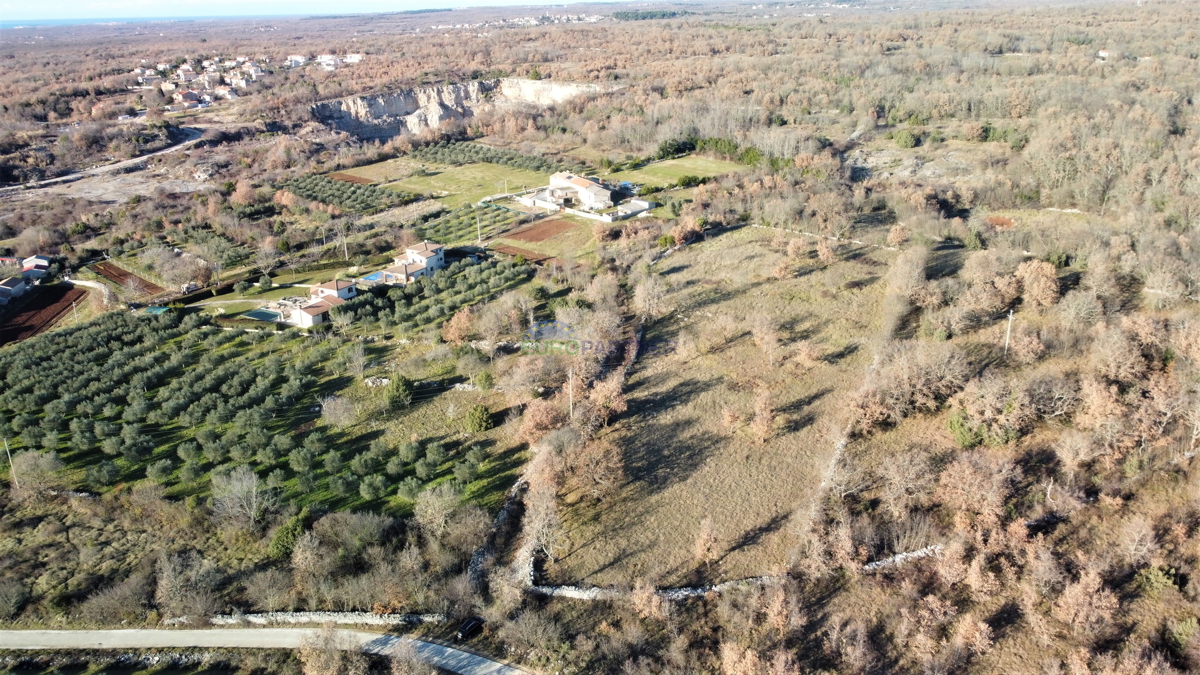 Bellissima proprietà, 5892m2 di terreno edificabile + 3562m2 di terreno agricolo, zona di Poreč.