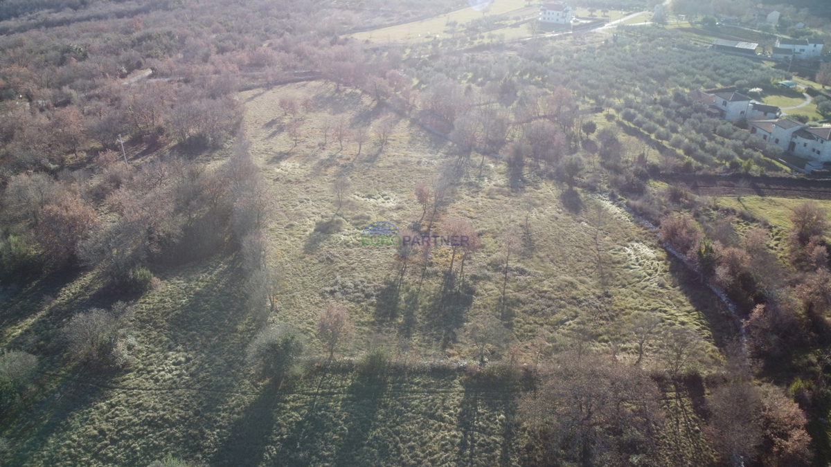 Bellissima proprietà, 5892m2 di terreno edificabile + 3562m2 di terreno agricolo, zona di Poreč.