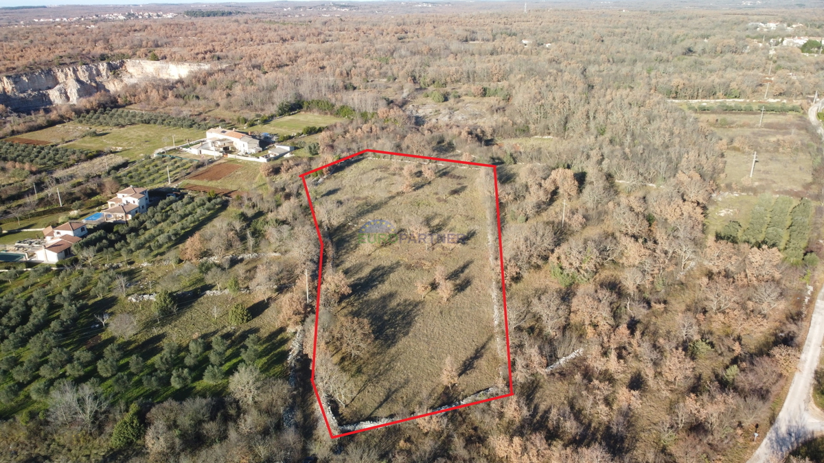 Bellissima proprietà, 5892m2 di terreno edificabile + 3562m2 di terreno agricolo, zona di Poreč.