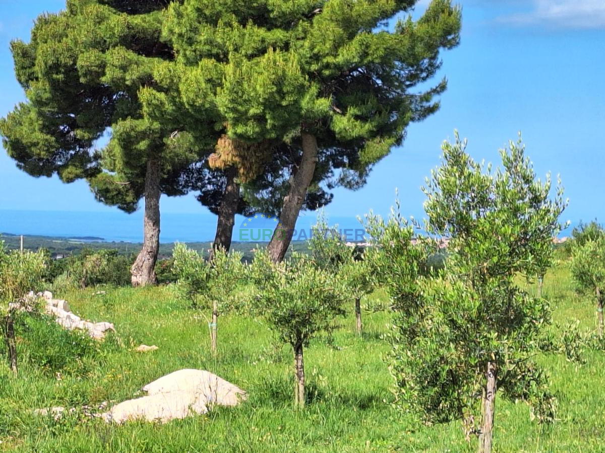 Istria, bella casa in pietra vicino a Porec