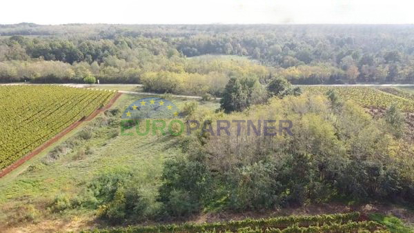 Istra, terreno agricolo al limite della zona edificabile