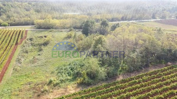 Istra, terreno agricolo al limite della zona edificabile