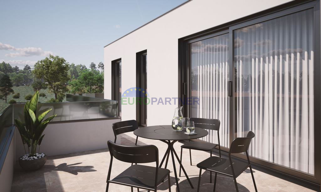 Istria, Tar, bella casa con piscina