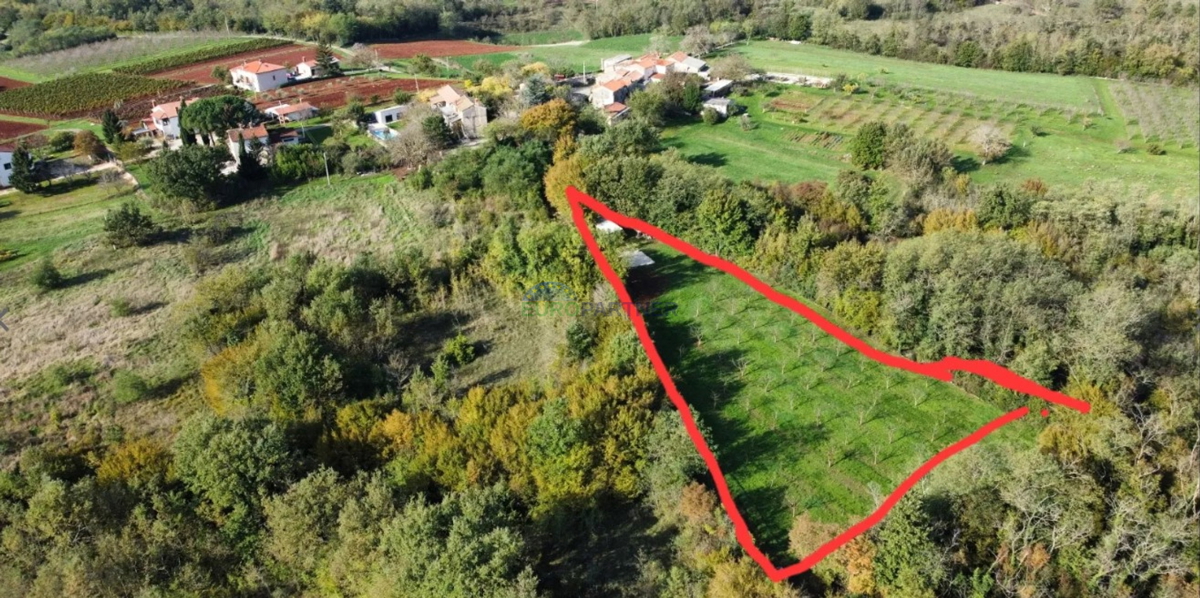 Istra, Višnjan, terreno edificabile nei dintorni di Višnjan
