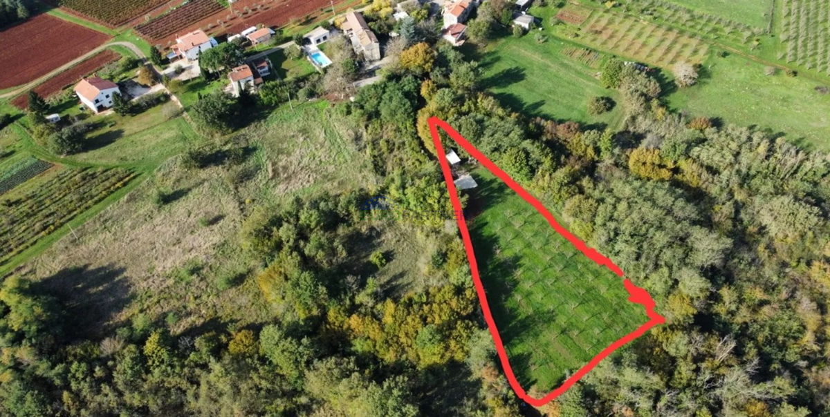 Istra, Višnjan, terreno edificabile nei dintorni di Višnjan