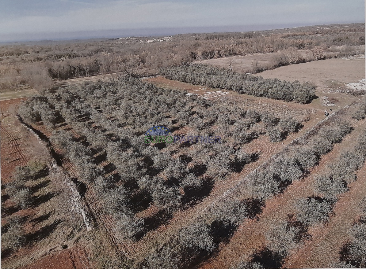 Terreno con documentazione di progetto