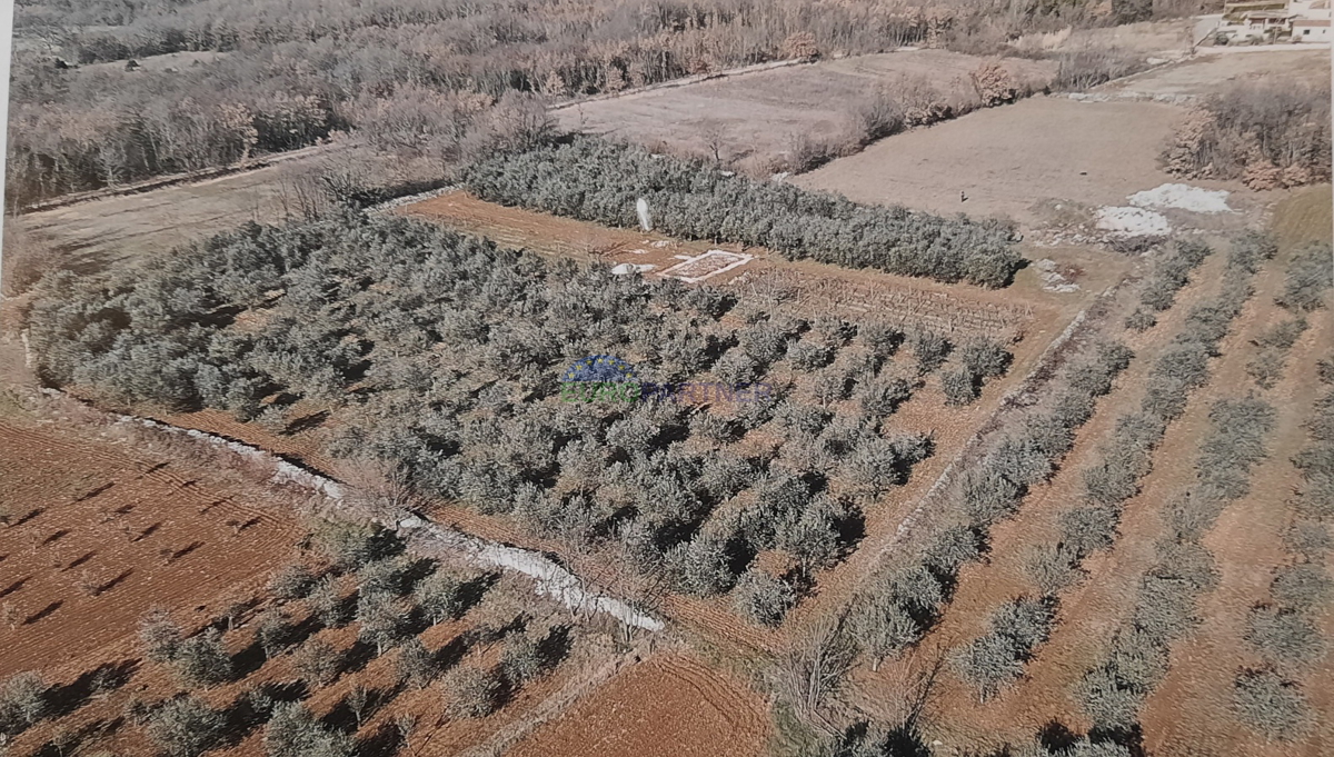 Terreno con documentazione di progetto