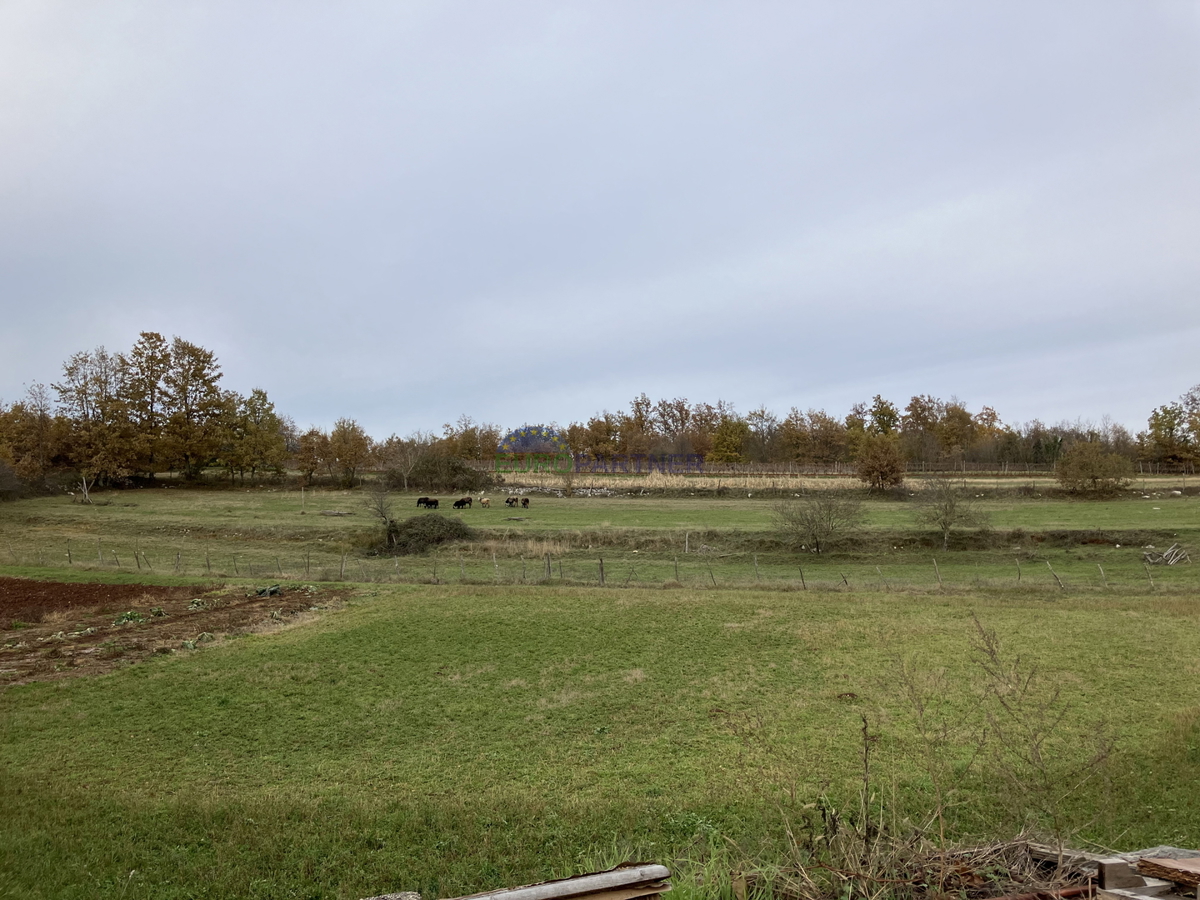 Una spaziosa tenuta di campagna nelle vicinanze di Gimino