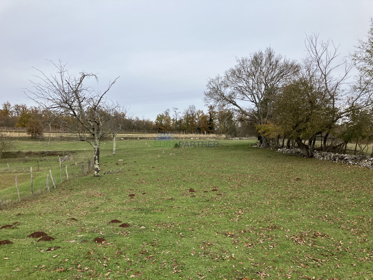 Una spaziosa tenuta di campagna nelle vicinanze di Gimino