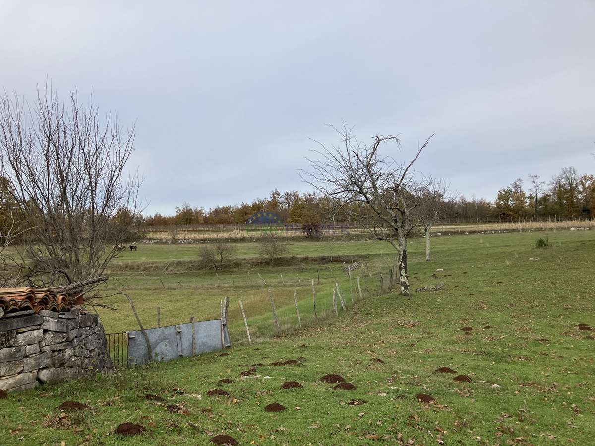 Una spaziosa tenuta di campagna nelle vicinanze di Gimino