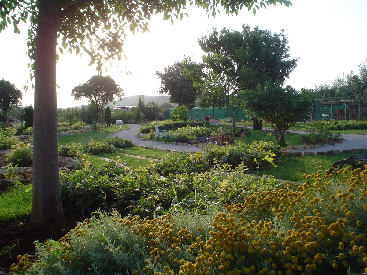 Parco tematico dell&apos;Istria, Rovigno, MINI CROAZIA