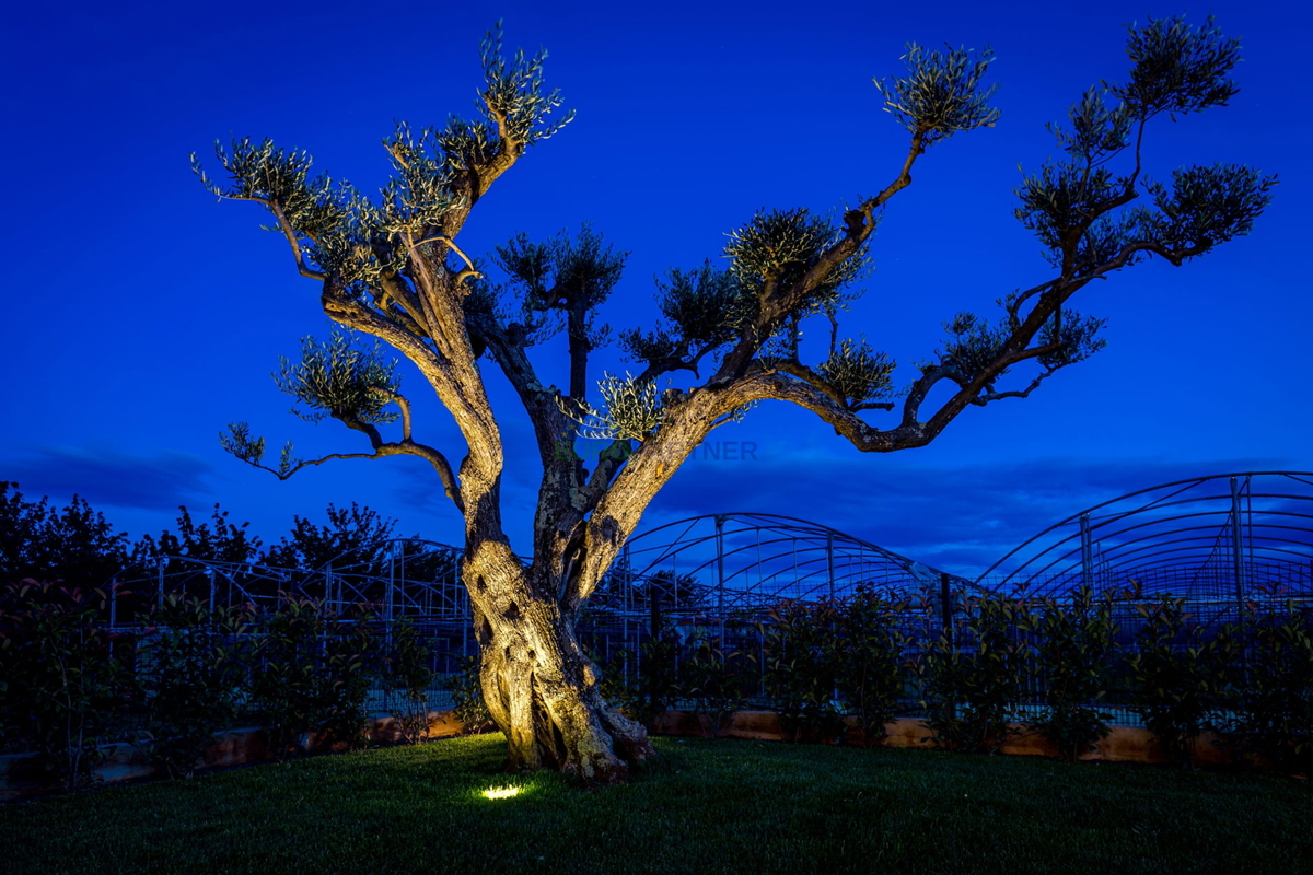 Istra, splendida villa nei dintorni di Tara e vicino al mare