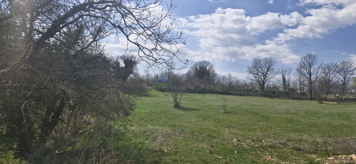 Istra, okolica Svetvičenta, terreno edificabile con permesso di costruzione già ottenuto