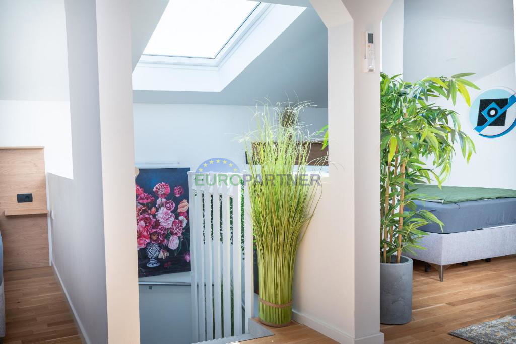 Casa in pietra ristrutturata in Istria con piscina – 3 km da Parenzo