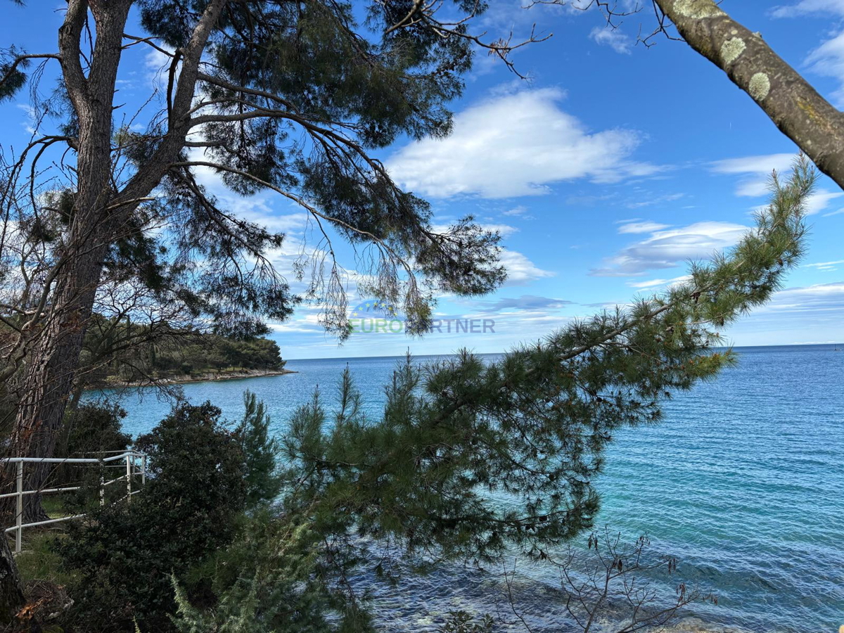 Villa indipendente con appartamento aggiuntivo e vista mare, Poreč, Istria