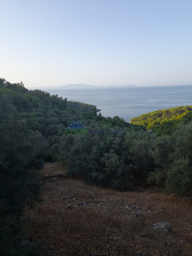 Terreno agricolo con possibilità edificabile e vista mare! Curzola