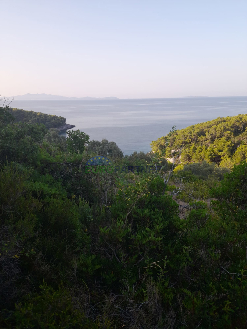 Terreno agricolo con possibilità edificabile e vista mare! Curzola