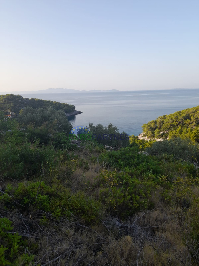 Terreno agricolo con possibilità edificabile e vista mare! Curzola