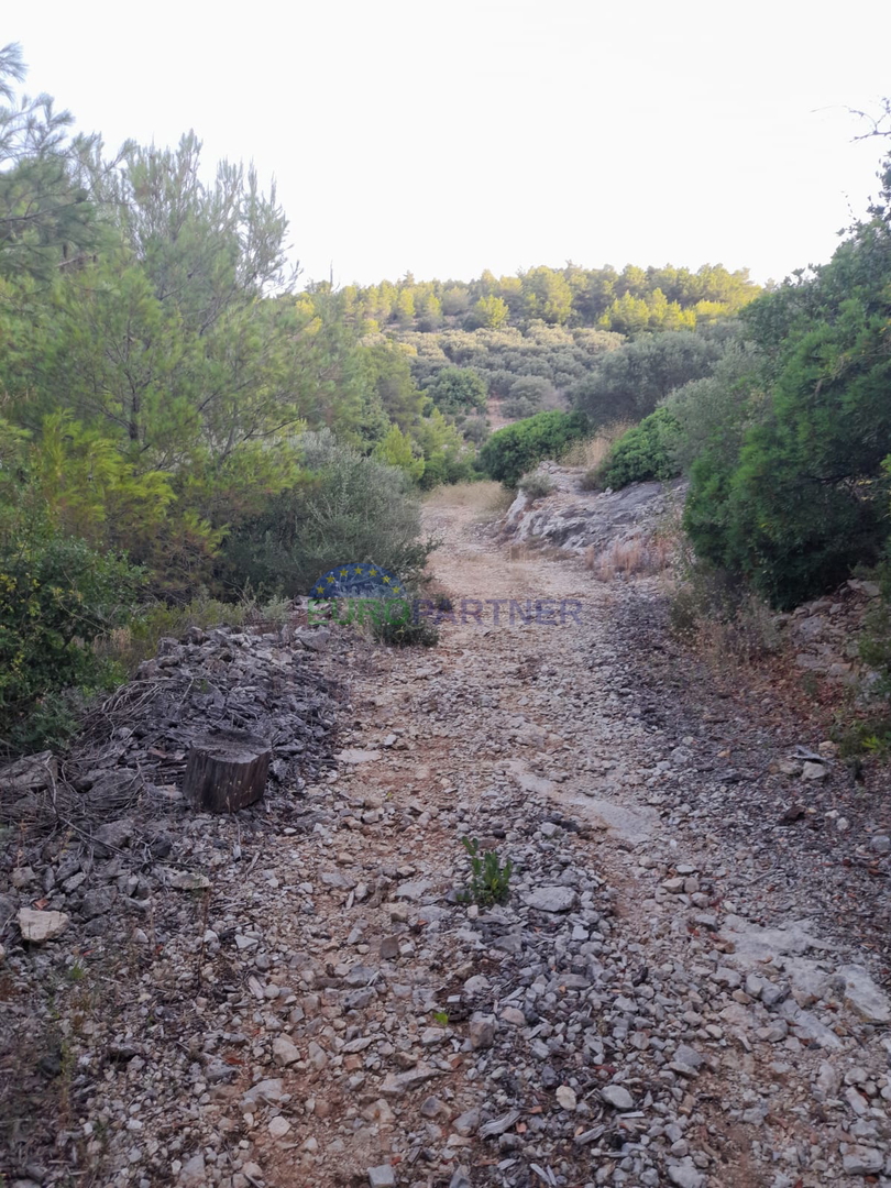 Terreno agricolo con possibilità edificabile e vista mare! Curzola