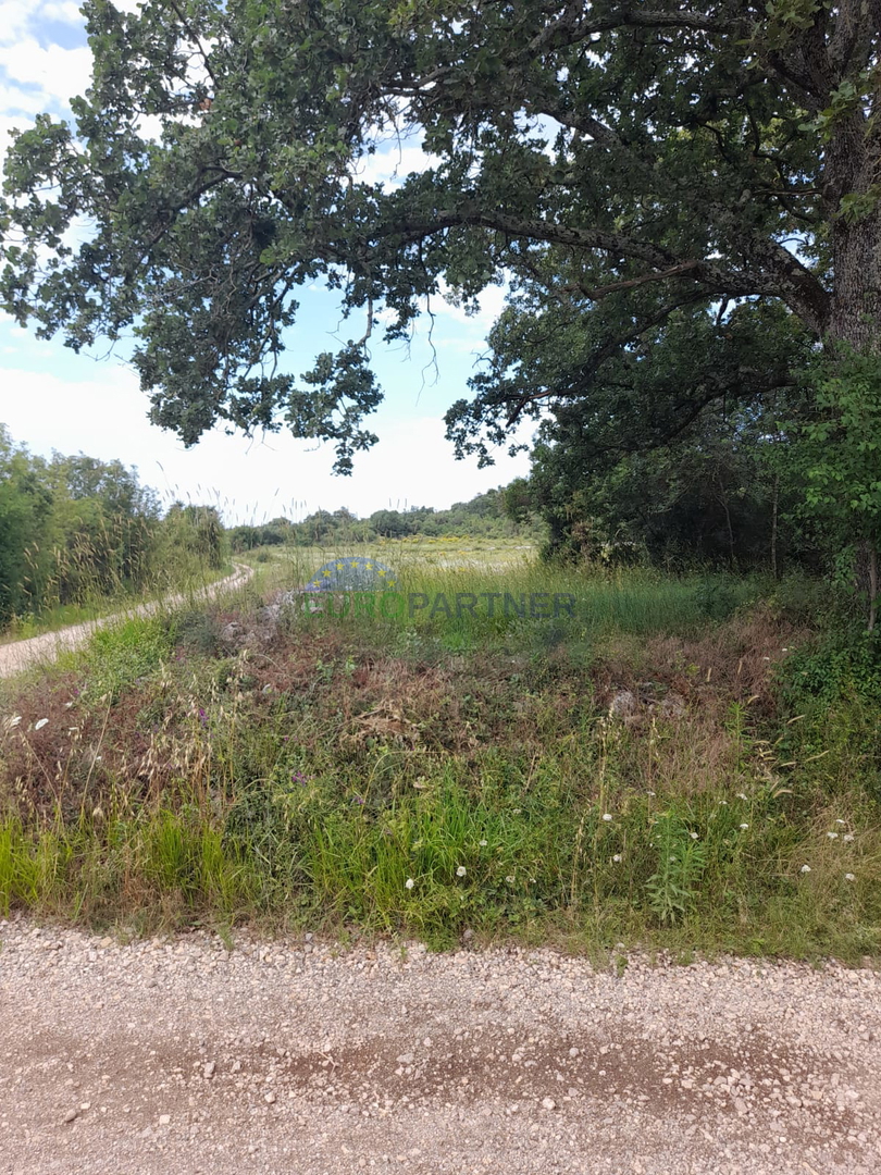 Istria, Rovigno, terreno agricolo