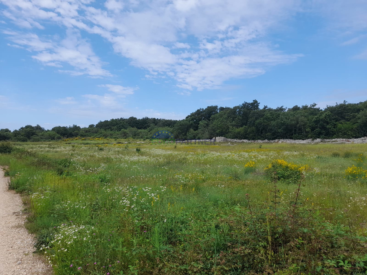Istria, Rovigno, terreno agricolo