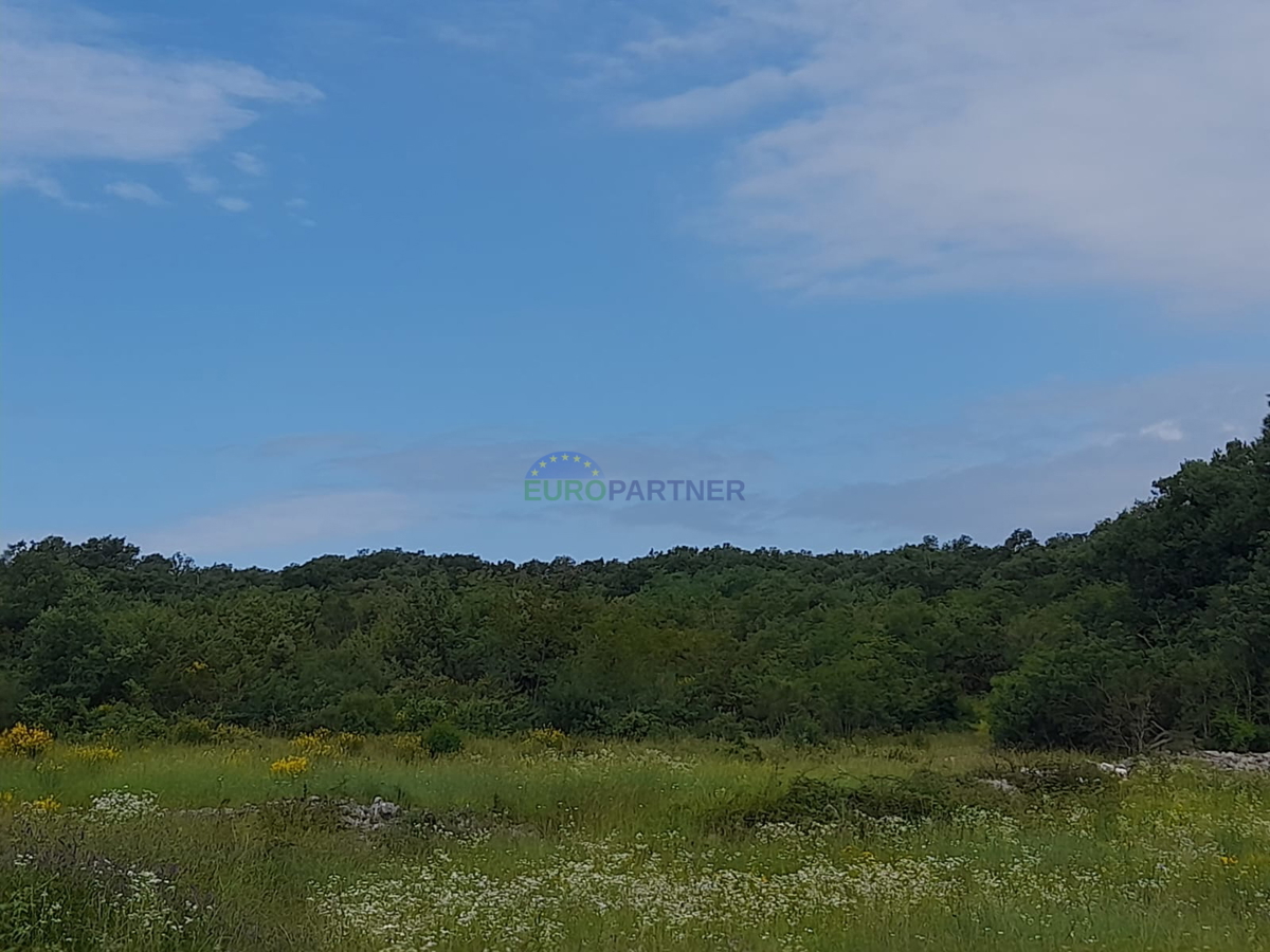 Istria, Rovigno, terreno agricolo