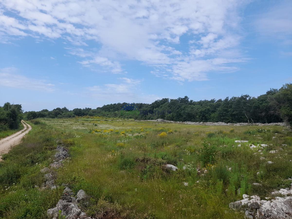 Istria, Rovigno, terreno agricolo