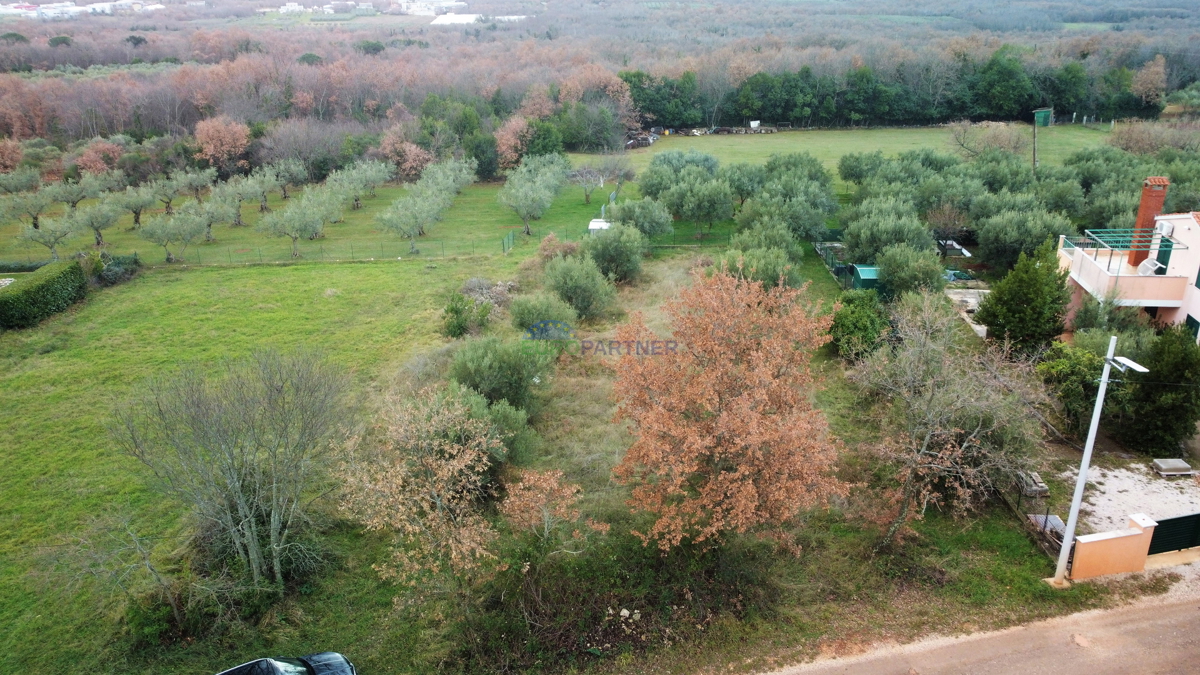 Terreno edificabile con vista sugli uliveti, nei dintorni di Poreč.