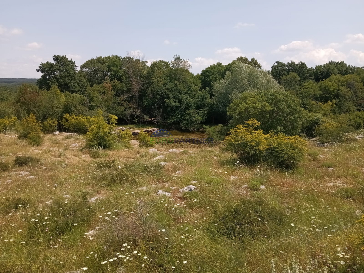 Istria, Bale, terreno agricolo