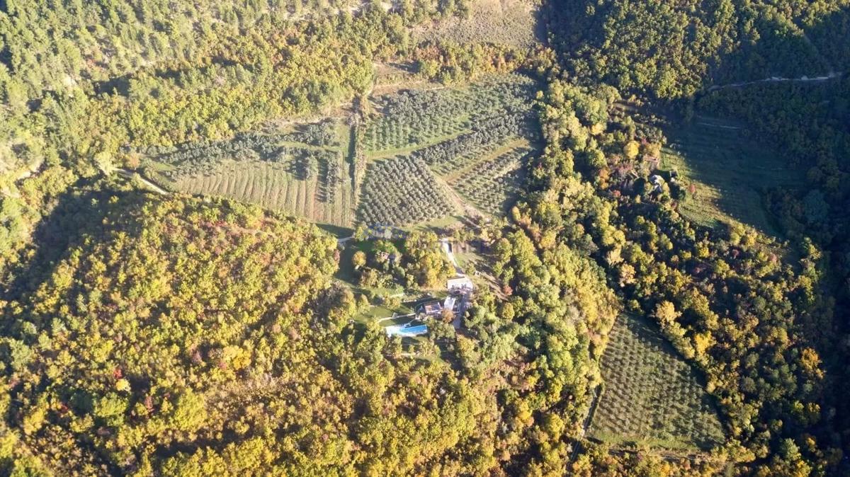 Istria, Tenuta esclusiva nel cuore di Grožnjan – completa privacy e posizione unica