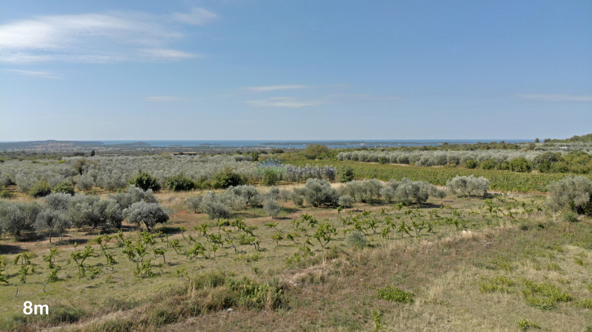 Terreno edificabile con progetto e concessione edilizia